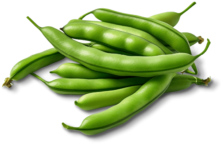 arves semillas de arveja